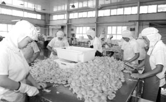 农产品进工厂 初级食用农产品的收入增值之路