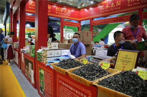 沈阳特色农产品首秀长春农博会，生态美味俘获春城味蕾