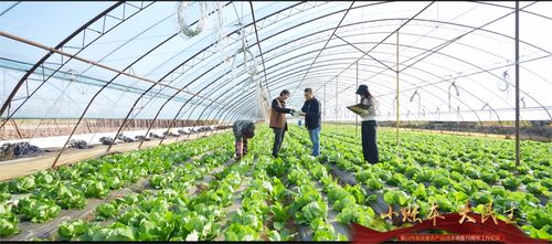 小账本，大民生——银川市发改委农产品成本调查七十载工作纪实