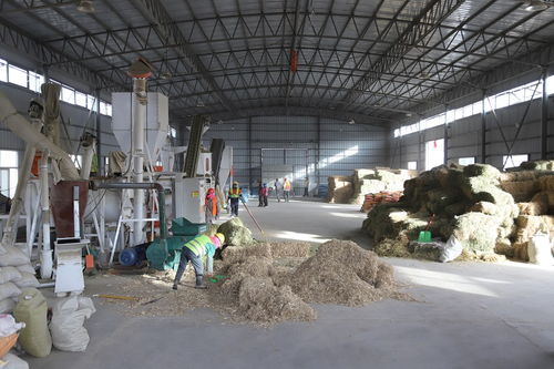 肃南皇城镇河西村 饲草料加工厂里的温暖生产线，守护草原初级食用农产品