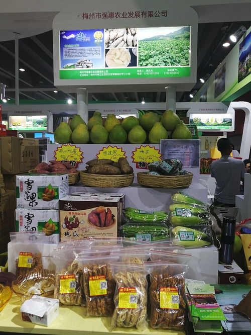 色味俱佳，梅江珍品香飘农博会——记梅江区六家农企二十余种名优初级食用农产品走俏盛会