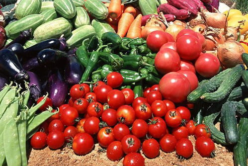 浙江45岁女士每日一片叶酸，坚持半年后，身体迎来这些积极改变