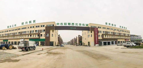 中沃建筑承建的中农联皖东南（泾县）农产品批发市场开工典礼圆满落幕