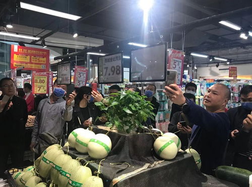 宜宾市全域推进食用农产品合格证制度，筑牢初级食用农产品安全防线